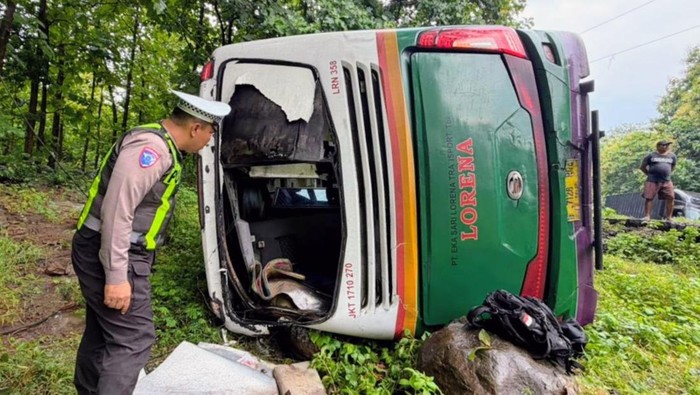 Bus Lorena Jurusan Bali-Bogor Terguling di Baluran, 5 Penumpang Luka