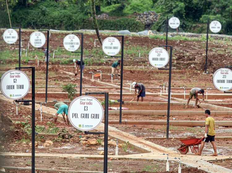 Pasar Petani Garuda Dibangun di Bogor, Jadi Harapan Baru Petani Lokal