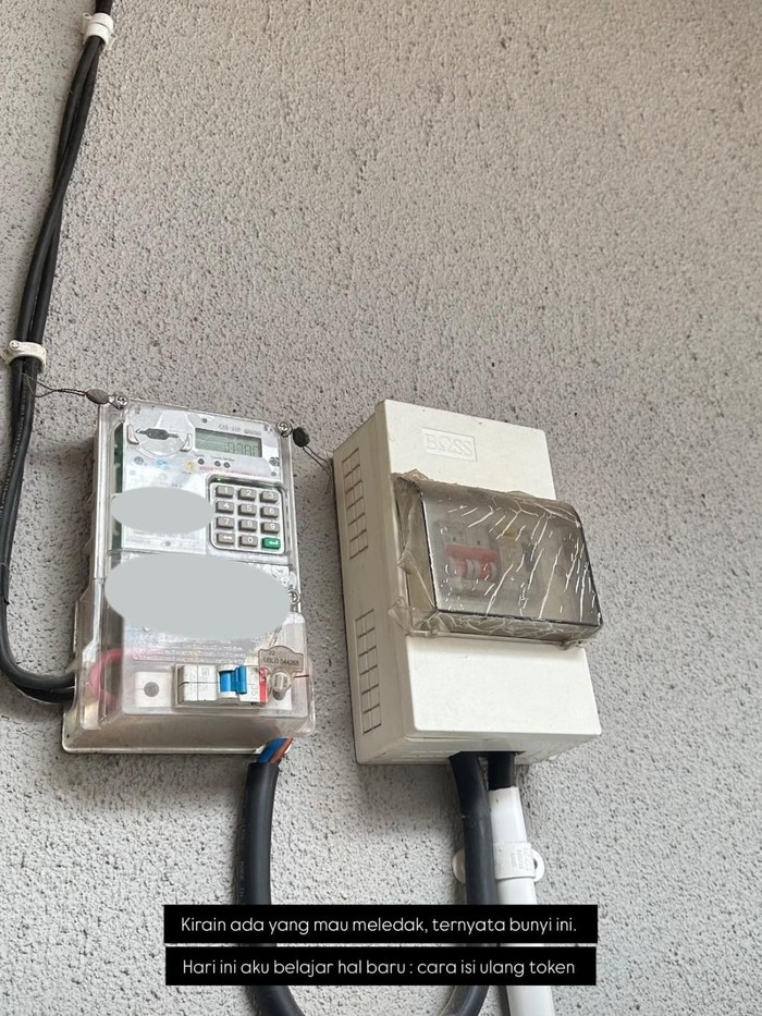 Pevita Pearce pertama kali dengar token listrik.