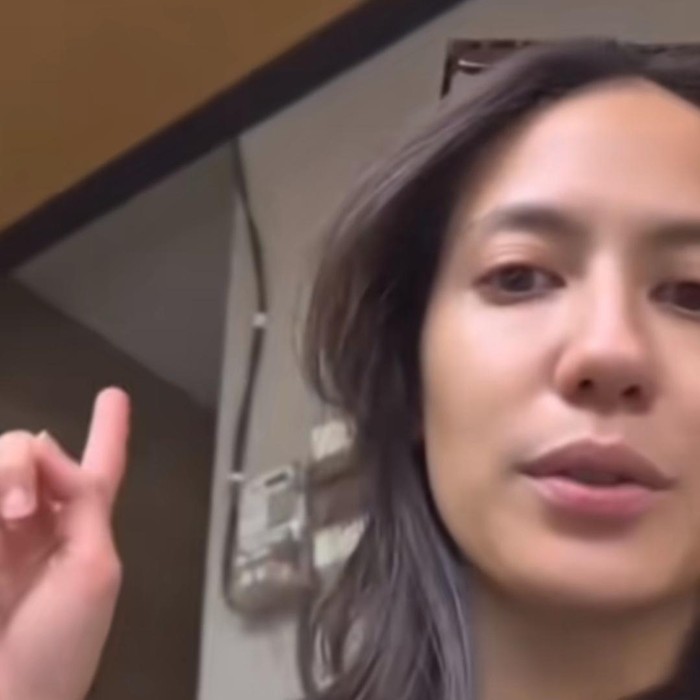 Pevita Pearce pertama kali dengar token listrik.
