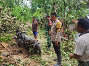 Hujan Angin, Pohon Tumbang hingga Lampu Jalan Roboh