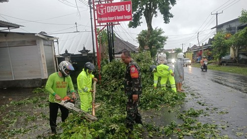 Pohon tumbang di tengah jalan dan timpa rumah warga di Kecamatan Susut akibat cuaca ekstrim, Selasa (20/1/2026). (Polsek Susut)