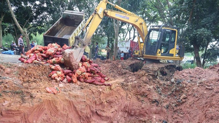 Polres Pelalawan Musnahkan 22 Ton Bawang Ilegal Hasil Penyelundupan