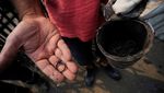 Ratusan Rumah di Chile Hancur Imbas Kebakaran Hutan