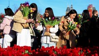 Ribuan Orang Padati Amsterdam untuk Petik 200 Ribu Tulip Gratis