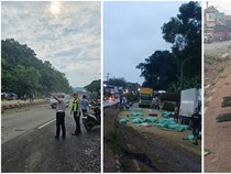 Video Truk Angkut Sapi Rem Blong di Lampung: 1 Orang Tewas, Sejumlah Sapi Mati