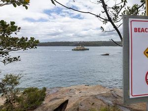 Dunia Hari Ini: Puluhan Pantai di Australia Tutup karena Serangan Hiu