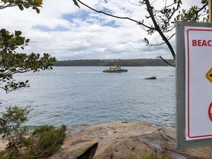 Dunia Hari Ini: Puluhan Pantai di Australia Tutup karena Serangan Hiu