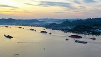 Tongkang-tongkang batu bara ditarik kapal tunda dan beroperasi hampir sepanjang hari. ANTARA FOTO/M Risyal Hidayat  