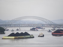 Aktivitas STS Batu Bara Ancam Jalur Migrasi Pesut Mahakam