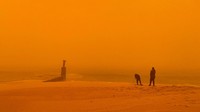 Langit kota tampak kusam, sementara kualitas udara memburuk dan mengganggu aktivitas warga. REUTERS/Esam Omran Al-Fetori  