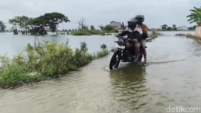 Banjir Bengawan Jero di Lamongan