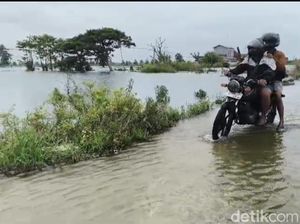 Sempat Surut 2 Hari, Banjir Bengawan Jero Lamongan Kembali Meninggi