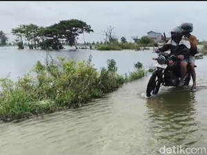 Sempat Surut 2 Hari, Banjir Bengawan Jero Lamongan Kembali Meninggi