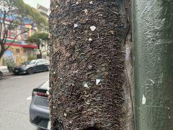 Dimakan Usia! Foto Perubahan Benda Sehari-hari yang Bikin Melongo