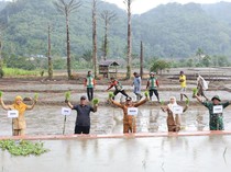 280 Hektare Sawah di Bontocani Bone Jadi Percontohan Padi Tanpa Pupuk Kimia
