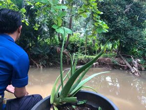 Kisah Buaya Lisa di Depok Bikin Waswas karena Dekat Sekolah