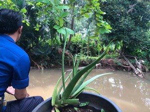 Kisah Buaya Lisa di Depok Bikin Waswas karena Dekat Sekolah