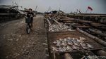 Gelombang Tinggi, Produksi Ikan Asin Cilincing Anjlok