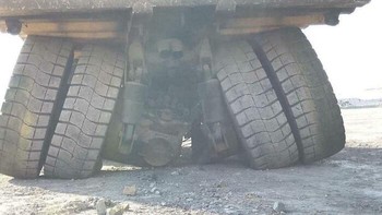 Nggak mungkin murah sih, biayanya. Foto: trenko via Bored Panda