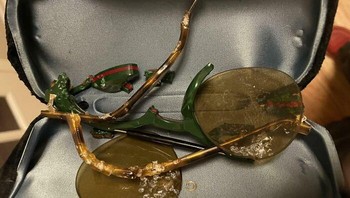 Beli kacamata buat istri. Merk Gucci nih, bos! Tapi malah rusak digigitin anjingnya setelah dua jam sampai rumah. Foto: archstanton43 via Bored Panda