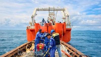 Pembangunan Kabel Laut Raksasa di Indonesia Tengah Digeber