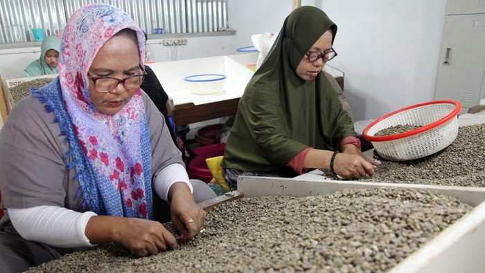 Pekerja menyangrai biji kopi di Rumah Kopi Mancafe, Medan, Sumatera Utara, Rabu (21/1/2026). Rumah Kopi Mancafe mampu mengekspor biji kopi yang dibelinya langsung dari petani di seluruh Indonesia sebanyak 38 ton setiap bulannya ke berbagai negara seperti Amerika, Korea, Kanada, Italia, Prancis dan Tiongkok. ANTARA FOTO/Yudi Manar