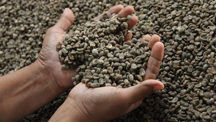 Pekerja menyangrai biji kopi di Rumah Kopi Mancafe, Medan, Sumatera Utara, Rabu (21/1/2026). Rumah Kopi Mancafe mampu mengekspor biji kopi yang dibelinya langsung dari petani di seluruh Indonesia sebanyak 38 ton setiap bulannya ke berbagai negara seperti Amerika, Korea, Kanada, Italia, Prancis dan Tiongkok. ANTARA FOTO/Yudi Manar