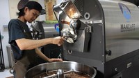 Pekerja menyangrai biji kopi di Rumah Kopi Mancafe, Medan, Sumatera Utara, Rabu (21/1/2026). Melalui Rumah Kopi Mancafe, biji kopi pilihan yang dibeli langsung dari petani di berbagai daerah Indonesia berhasil menembus pasar dunia dengan volume ekspor mencapai 38 ton setiap bulan. ANTARA FOTO/Yudi Manar