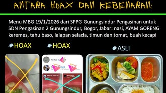 Viral Menu MBG Dinilai Tak Layak Isi Buah Kecapi-Tomat Busuk, BGN Buka Suara