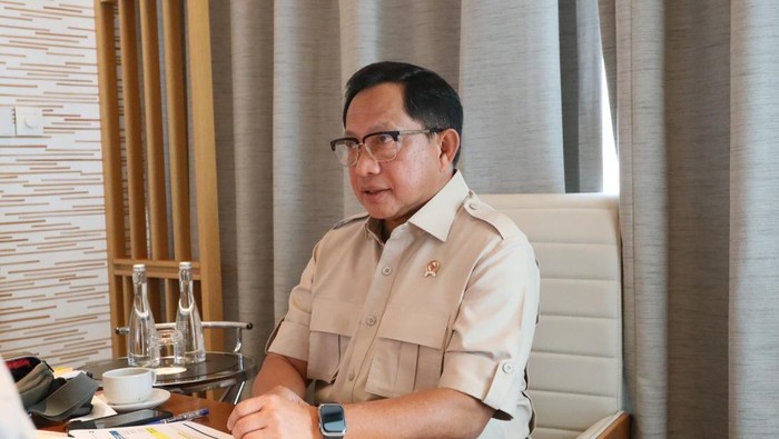 Mendagri: Gelondongan Kayu Banyak di Aceh Timur dan Utara, Mau Dimanfaatkan