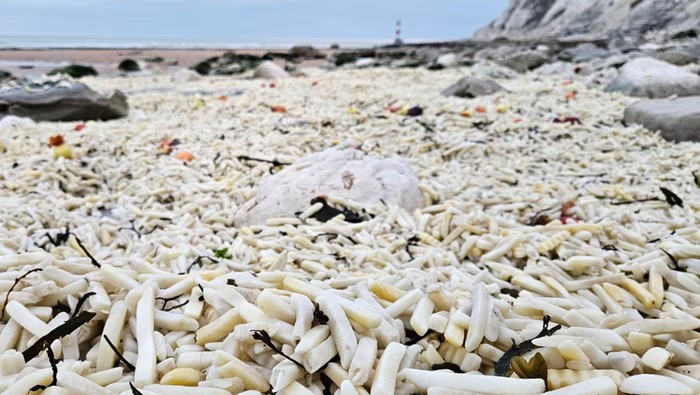 Aneh tapi Nyata, Lautan Kentang Goreng Muncul di Pantai Ini