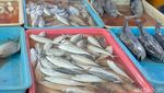 Harga Ikan di Surabaya Melonjak Imbas Cuaca Ekstrem