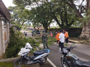 Ayah-Anak di Sinjai Tertimpa Pohon Tumbang saat Naik Motor ke Sekolah