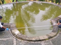 Tragis, Bocah 2 Tahun Tewas Tenggelam di Kolam Renang Vila Jembrana