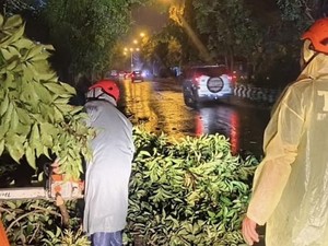 Cuaca Ekstrem Terjang Denpasar, Anak Luka dan Puluhan Rumah Rusak
