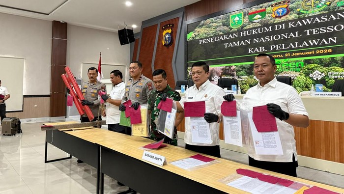 Polda Riau Juga Tangkap 3 Tersangka yang Caplok Lahan Tesso Nilo