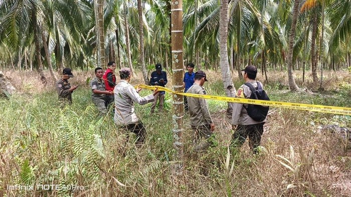 Terungkap! Ini Motif Keponakan Bunuh Kakek di Tanjabtim Jambi