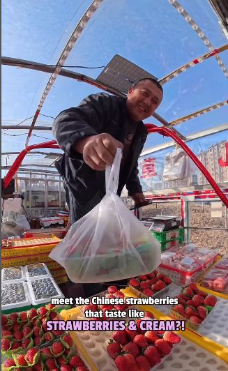 Rasa dan Teksturnya Creamy Alami, Strawberry di China Ini Viral! Rasa dan Teksturnya Creamy Alami, Strawberry di China Ini Viral!
