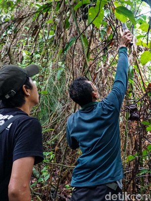 Kawal Revitalisasi Cagar Alam Depok