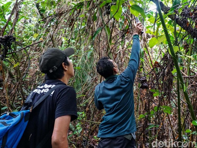 Kawal Revitalisasi Cagar Alam Depok