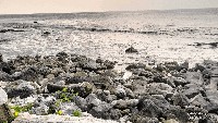 Hamparan batu karang tersusun alami di tepi laut.
