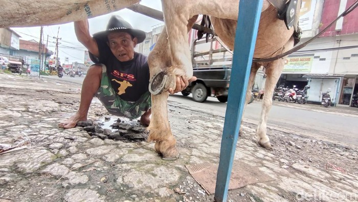 Ade Cucu tengah memeriksa sepatu kuda miliknya di sekitar Pasar Pancasila Tasikmalaya.