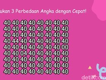 Sekilas Sama Persis! Temukan Objek yang Berbeda di Gambar Ini