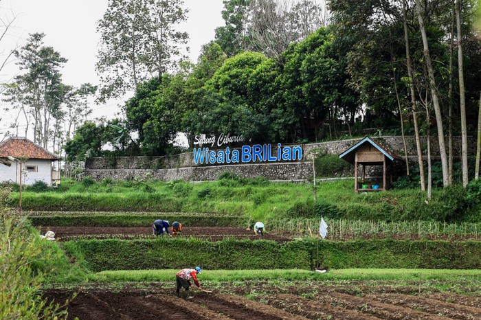 Dorong Kemajuan Ekonomi, BRI Raih Penghargaan Hari Desa Nasional 2026