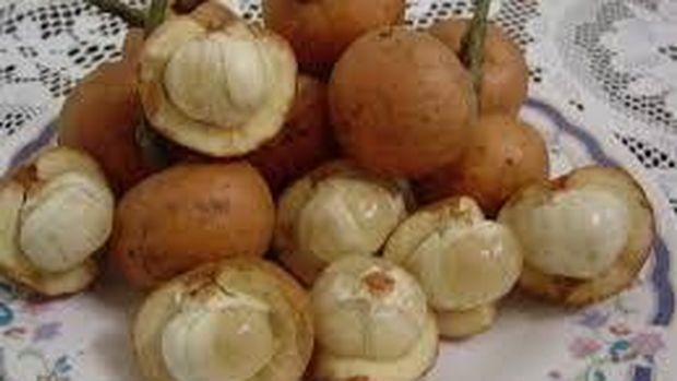 Si Manis Buah Kapul yang Sudah Sulit Ditemukan