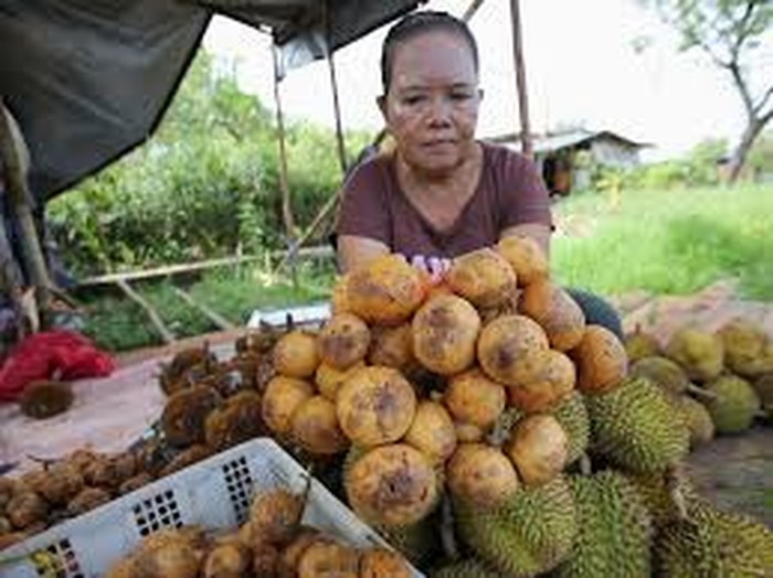 Buah Kapul. (Media Pemkot Palangka Raya)