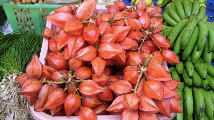 buah unik Indonesia