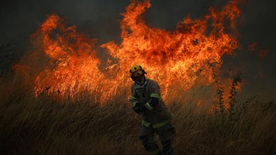 Kebakaran Hutan di Biobio Chile Picu Evakuasi Darurat Warga