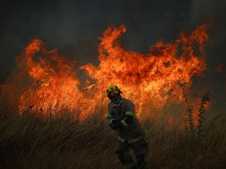 Kebakaran Hutan di Biobio Chile Picu Evakuasi Darurat Warga